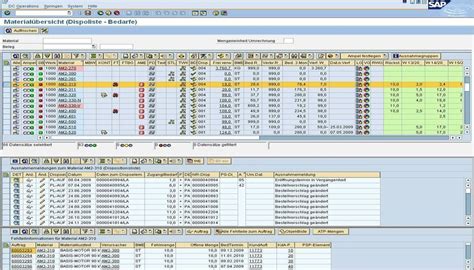 Dispositionsmonitor Für Sap® Erp Mehrwerk Gmbh