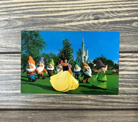 Vintage Walt Disney World Snow White And The Seven Dwarfs Postcard 0100
