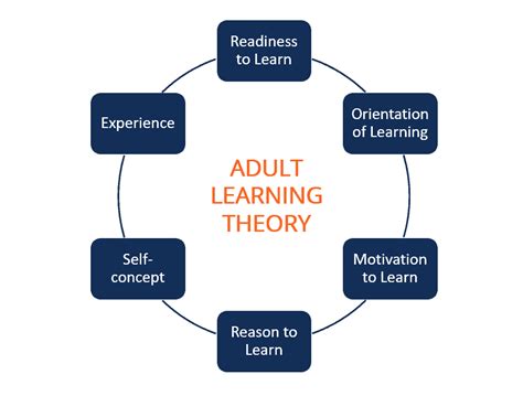 Adult Learning Theories Unlocking The Power Of Lifelong Learning