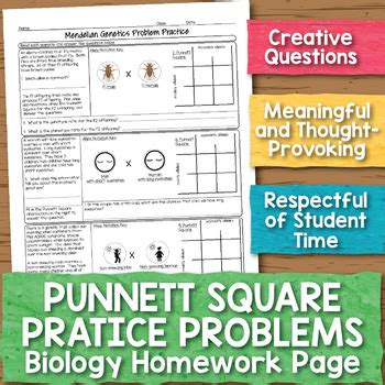 Each genotype shown in the punnett square has a 25 chance of occuring. Punnett Square Practice Problems Biology Homework ...