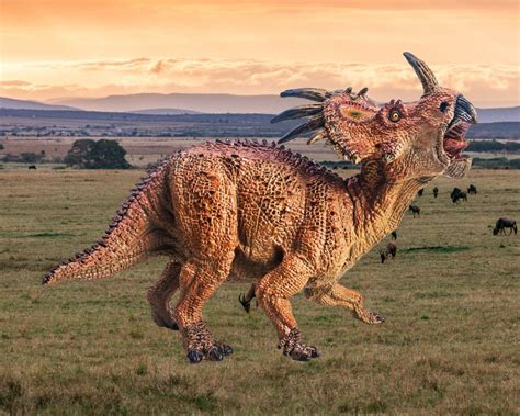 Styracosaurus Vs Allosaurus Horns And Claws Dino Digest