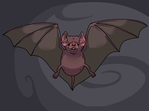 How To Draw A Bat With Pictures Wikihow