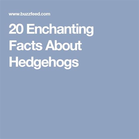 20 Enchanting Facts About Hedgehogs Unusual Facts Facts Hedgehog