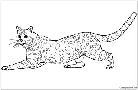 Wildcat Coloring Page Printable