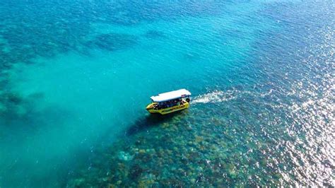 Airlie Beach Glass Bottom Boat Tour Whitsunday Islands Tours