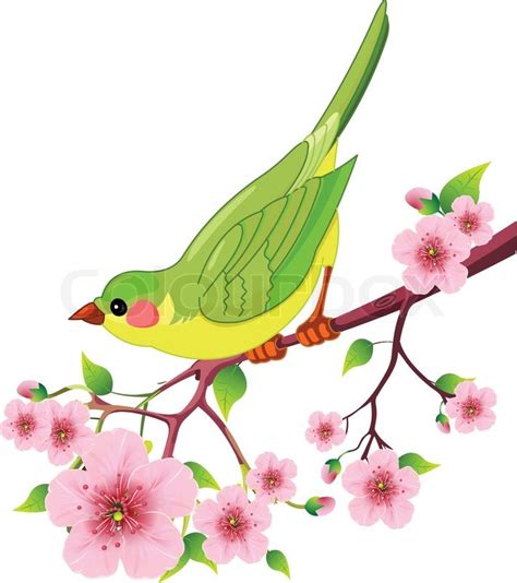 Cute Bird Sitting On Blossom Tree Branch Isolated On White Background