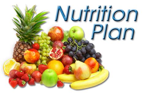 Program skim latihan 1malaysia (sl1m) adalah program latihan yang bertujuan untuk meningkatkan tahap kebolehpasaran (employability) atau keupayaan graduan untuk mendapat pekerjaan. Finding the right Nutrition & Fitness Program for YOUR ...