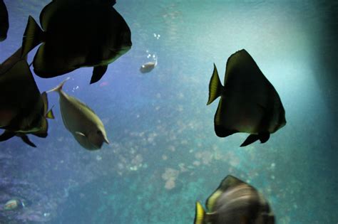 Nicht erst seit der coronakrise geht bei diesem thema nichts. Huderaner - Klimahaus in Bremerhafen - Reiseziel in ...