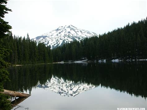 View Of Mount Bachelor From Todd Lake Trail Central Oregon Cascades