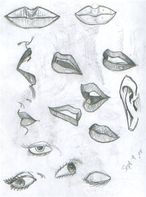 Lips Drawing Human Drawing Drawings