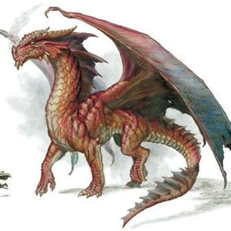 Red Dragon Forgotten Realms Wiki Fandom Powered By Wikia Dragon