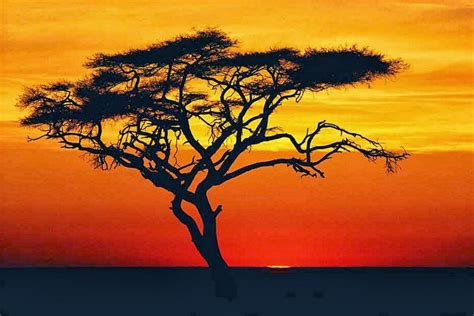 Cuadros Modernos Pinturas y Dibujos : Paisajes Para Pintar ...