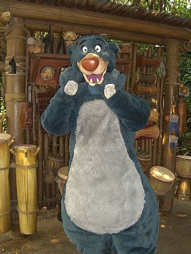 Baloo Costumes Through The Years Disney Wiki