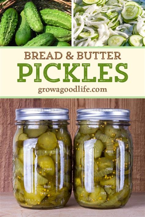 Old Fashioned Sweet Cucumber Pickle Recipe Depolyrics