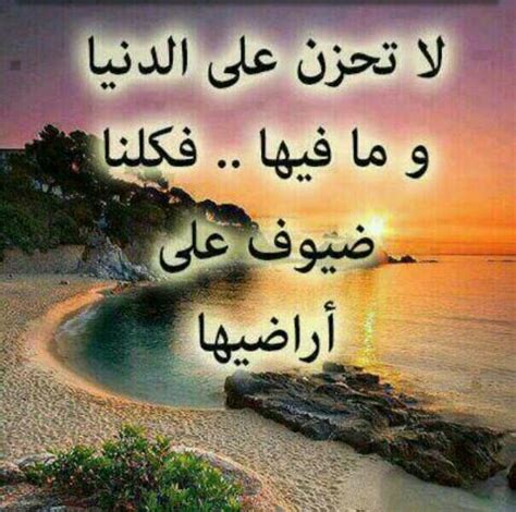 ثنا أسباط بن نصر، عن السدّي، عن أبي سعيد الأزدي، وكان قارئ الأزد، عن أبي الكنود، عن خباب في قوله: شعر حزين عن الدنيا ابيات قاسية واليمة تصف الحياة