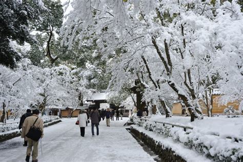Japanese winters generally last from december to february. 4 Seasons in Kyoto: Spring - Winter - Trip-N-Travel