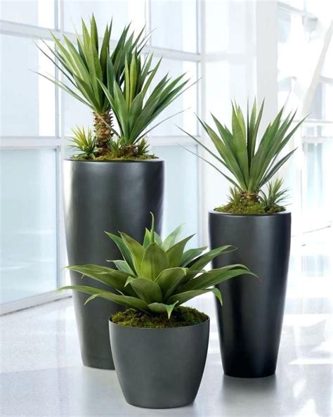 Artificial flowers and plants in india can be bought from many shops both small and big, but there is a knack for selecting and maintaining them. Ceramic Pots For Indoor Plants Online India Pots For Large ...