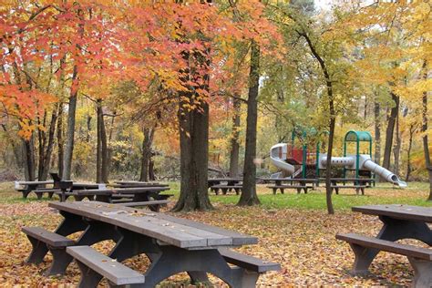 This picnic table buying guide is designed to help you answer those questions and learn more about picnic table styles, finishes, and installation options. Unreserved Picnic Area - Greenbelt Park (U.S. National ...
