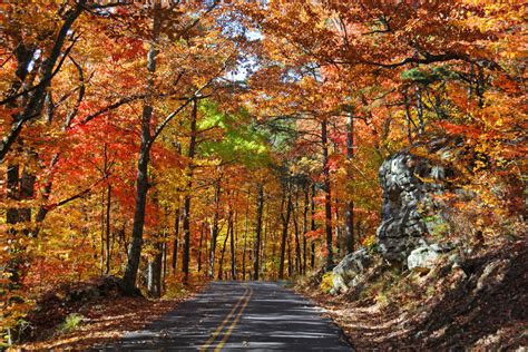 State By State Guide To The Best Fall Color Southern Living