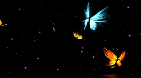 Animated Butterfly Backgrounds Wallpapers Gallery