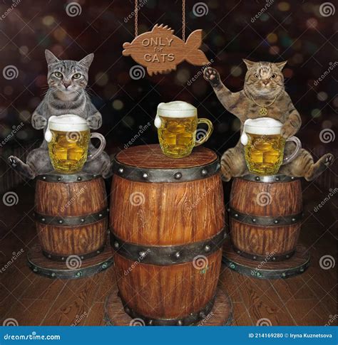 Two Cats Drink Beer In Pub 2 Stock Photo Image Of Beer Holiday