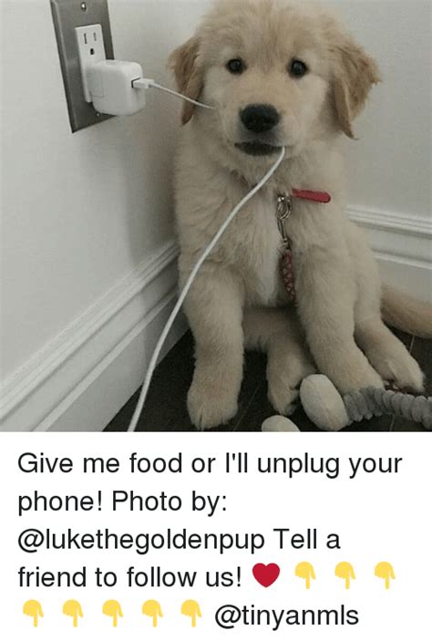 Give Me Food Or Ill Unplug Your Phone Photo By Tell A