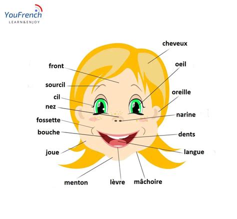 Learn The Body Parts In French Listen To Audio Files To Practice