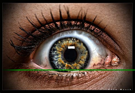 Amazing Facts About Human Eye Knowfacts