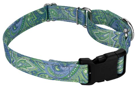 Buy Green Paisley Reflective Martingale Dog Collar With Deluxe Buckle