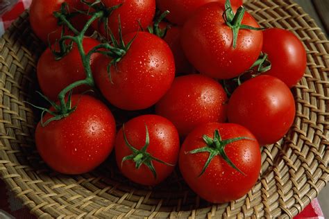 Varieties Of Seedless Tomato Ehow