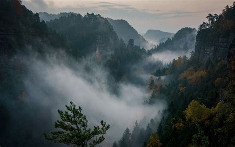 Philipp Zieger Mountains Nature Forest Mist Switzerland Wallpaper And