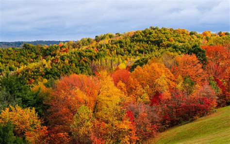 7 Best Places To Enjoy Ohio Fall Colors Tips For Viewing Ohio Fall