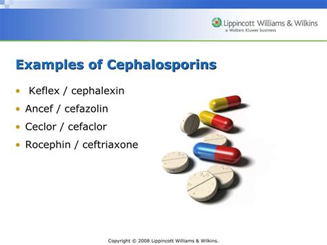 Ppt Introductory Clinical Pharmacology Chapter 8 Cephalosporins