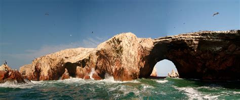 Full Day Paracas E Islas Ballestas Tour Ica