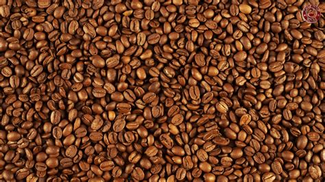 Download Wallpaper Coffee Coffee Grains Download Photo Wallpapers