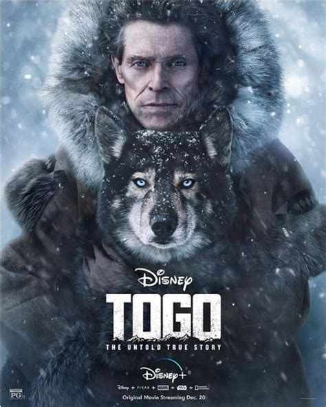 An original movie starring willem dafoe and julianne nicholson, togo is the untold true story set in the winter of 1925 that treks across the treacherous. New, Original Film "Togo" is Coming To Disney+ in December ...