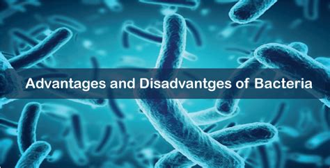 Advantages And Disadvantages Of Bacteria Javatpoint