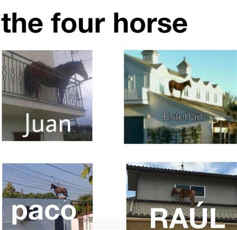 Horse Named Juan Meme Captions Beautiful