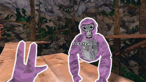 Meeting my Doppleganger in Gorilla Tag VR - YouTube