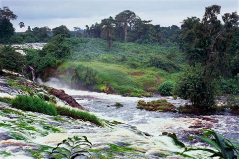 La Forêt équatoriale Gabon