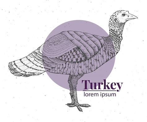 Premium Vector Vector Hand Drawn Turkey Illustration