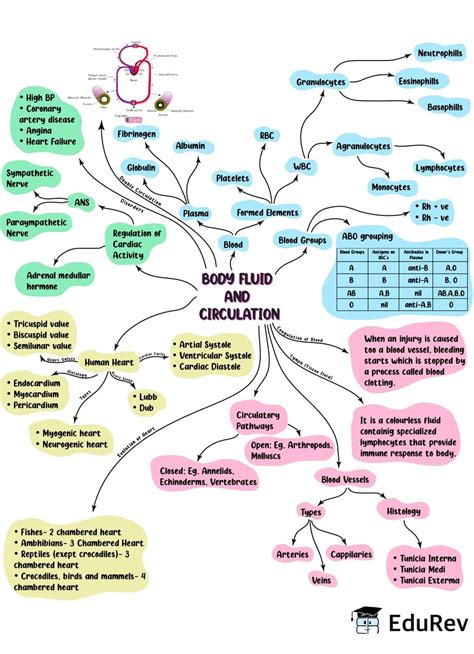 Biology Class 11 Study Biology Biology Lessons Biology Notes