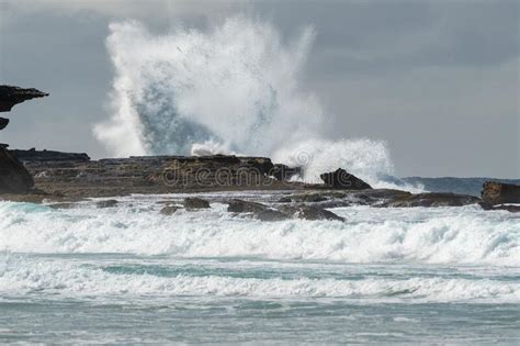 311 Gigantic Wave Stock Photos Free Royalty Free Stock Photos From