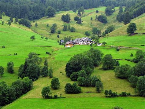 Black Forest Germany Desktop Wallpapers