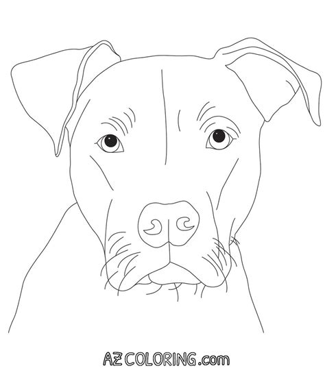 Free Printable Pitbull Coloring Pages
