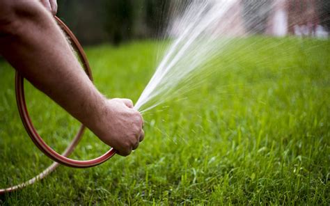 Lawn Maintenance Tips Tools And Importance Zameen Blog