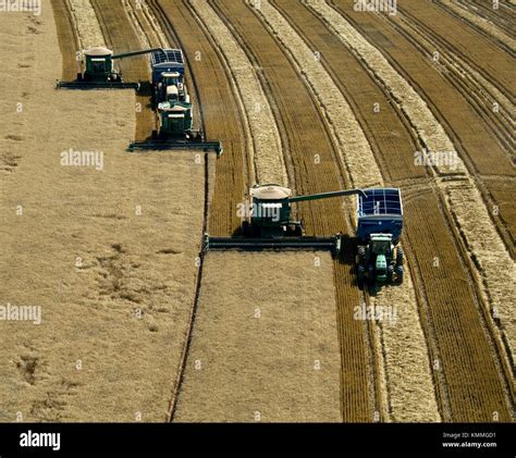 Aerial View Of Three John Deere Combines Harvesting 95 100 Bu Wheat