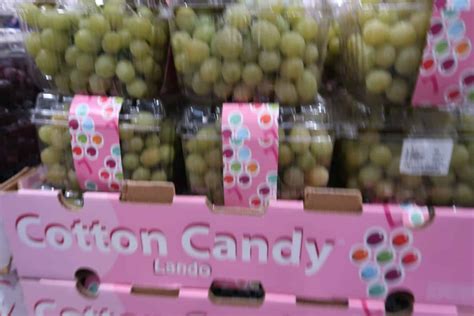 Maybe you would like to learn more about one of these? Cotton Candy Grapes Back at Costco - My Wholesale Life