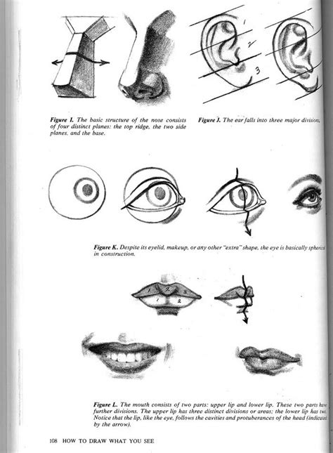 How To Draw What You See Draw What You See Online Drawing Drawings