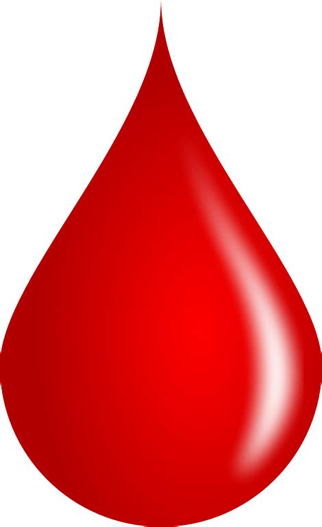 Blood Logo Png Blood Donation Png Pic Blood Donation Logo Png Png